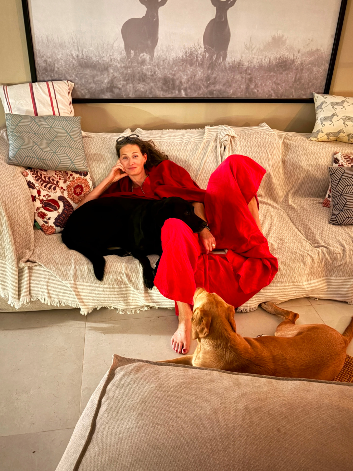 Anne Schaeflein on the sofa with her two hounds