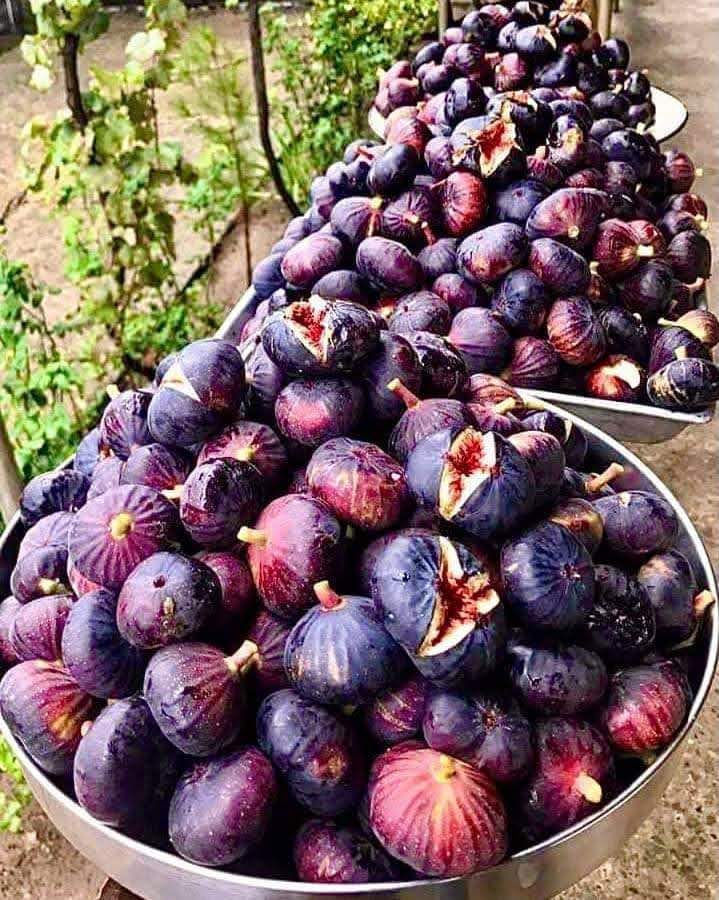 A bowl filled with ripe figs